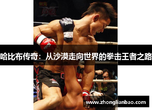哈比布传奇：从沙漠走向世界的拳击王者之路